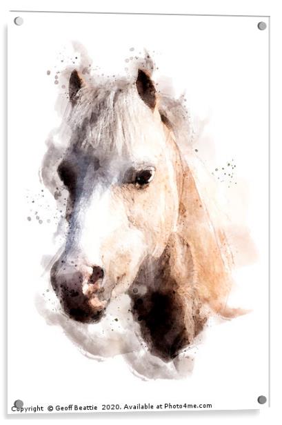 Pony in watercolour Acrylic by Geoff Beattie