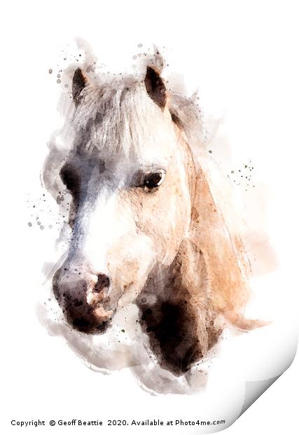 Pony in watercolour Print by Geoff Beattie