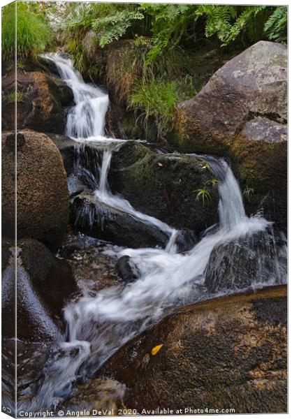 Little waterfall by Gralheira river in Carvalhais Canvas Print by Angelo DeVal