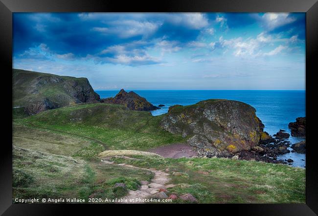 Cliff Top Walk St Abbs Framed Print by Angela Wallace