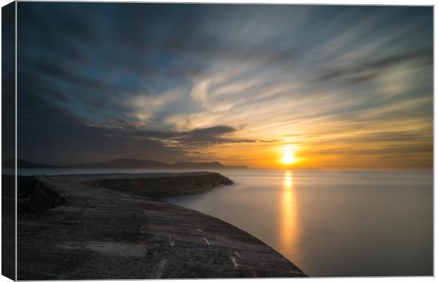 The Cobb, Lyme Regis Canvas Print by Andrew Sharpe