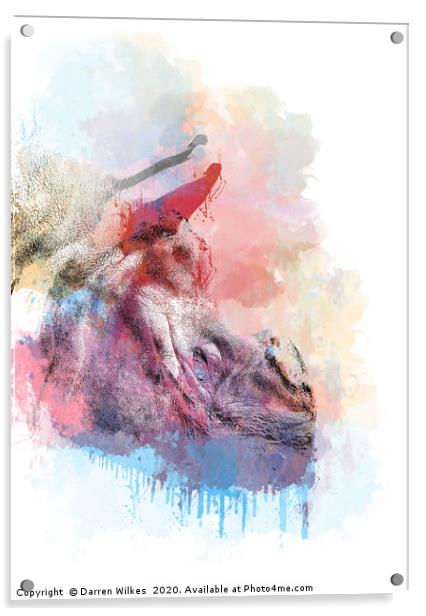 Greater One Horned Rhino Digital Art Acrylic by Darren Wilkes