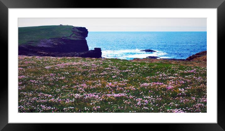 Thrift at Yesnaby Framed Mounted Print by Steven Watson