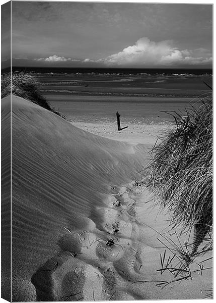 Dunes Path to Beach Canvas Print by Keith Thorburn EFIAP/b