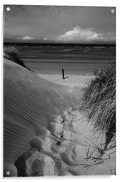 Dunes Path to Beach Acrylic by Keith Thorburn EFIAP/b