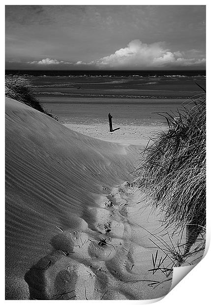 Dunes Path to Beach Print by Keith Thorburn EFIAP/b