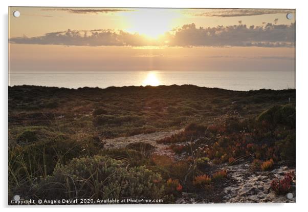 Dunes over sea in southwest Alentejo Acrylic by Angelo DeVal