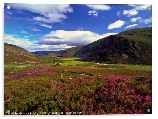 A view of Glen Esk, Scotland Acrylic by Navin Mistry