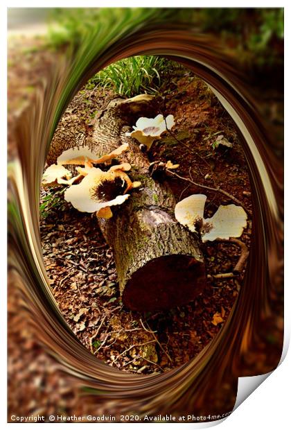 Woodland Fungi Print by Heather Goodwin