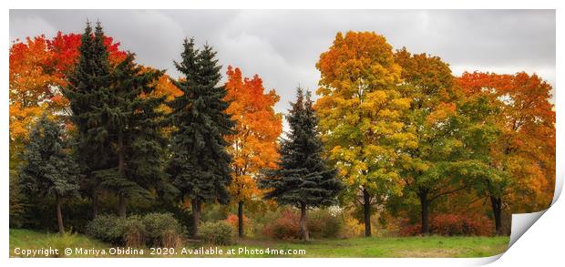 Indian summer landscape. Print by Mariya Obidina