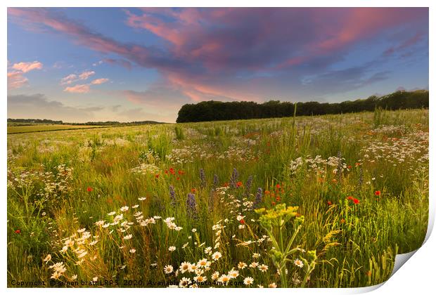 Wild flower meadow sunset landscape in West Norfol Print by Simon Bratt LRPS