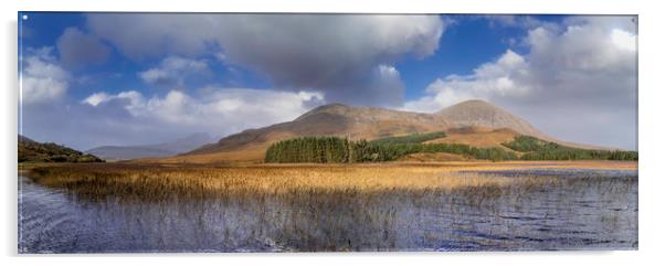 Loch Cill Chriosd, Isle of Skye, Scotland Acrylic by Andrew Sharpe