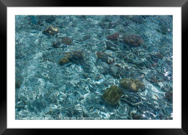 Blue Water with Soft Corals Framed Mounted Print by Jenny Rainbow