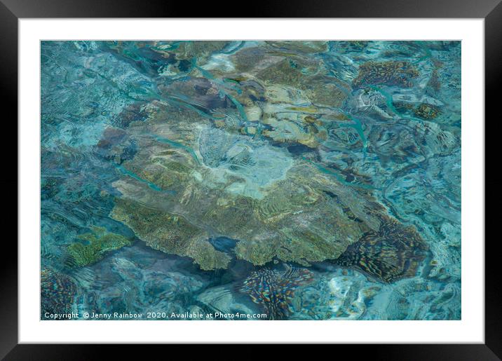 Soft Corals and Blue Fishes Framed Mounted Print by Jenny Rainbow