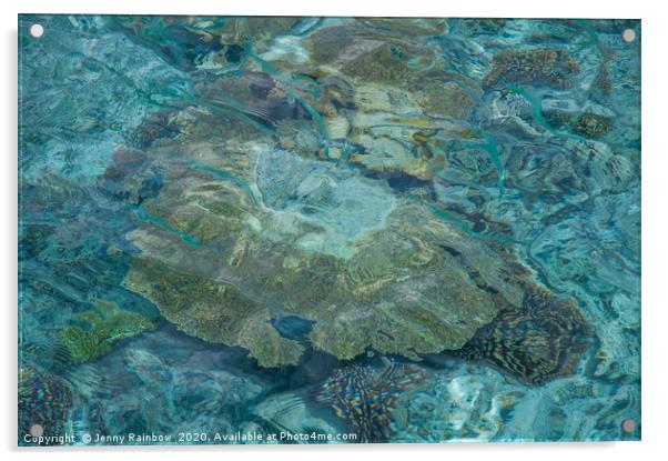 Soft Corals and Blue Fishes Acrylic by Jenny Rainbow