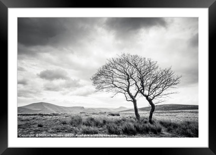 Two Trees, Crookstone Out Moor, Derbyshire Framed Mounted Print by Martyn Williams