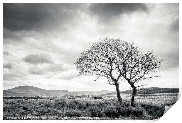 Two Trees, Crookstone Out Moor, Derbyshire Print by Martyn Williams