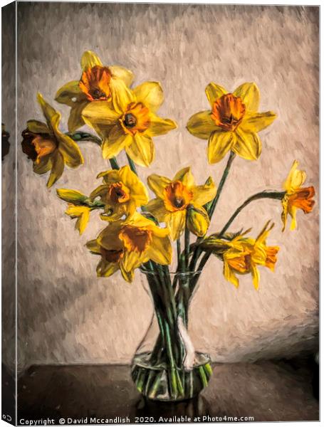 Daffodils in Glass Vase Canvas Print by David Mccandlish