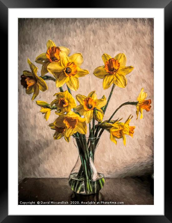 Daffodils in Glass Vase Framed Mounted Print by David Mccandlish