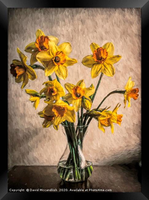 Daffodils in Glass Vase Framed Print by David Mccandlish