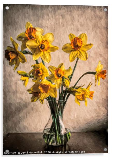 Daffodils in Glass Vase Acrylic by David Mccandlish