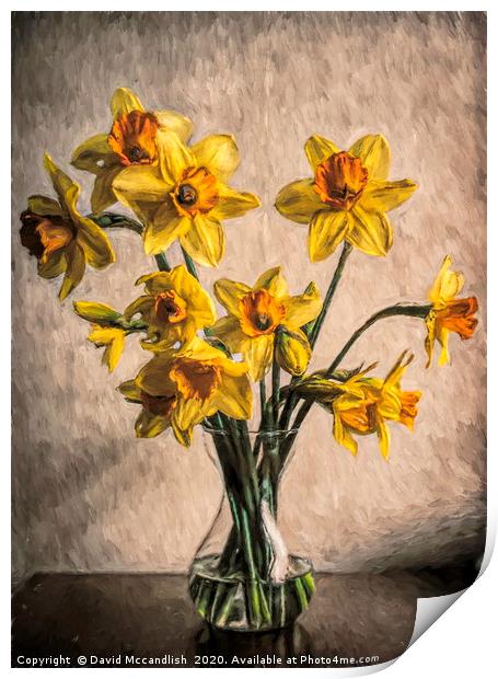 Daffodils in Glass Vase Print by David Mccandlish