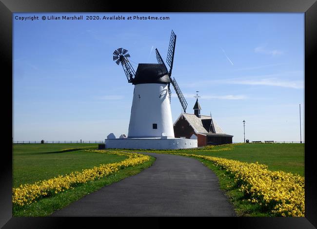 Lytham Windmill in Spring.  Framed Print by Lilian Marshall