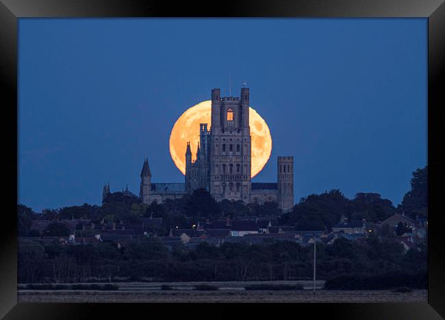 Harvest Moon rising behind Ely Cathedral, Cambridg Framed Print by Andrew Sharpe