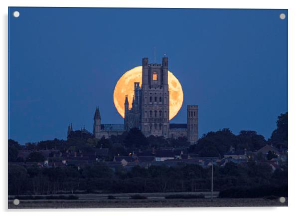 Harvest Moon rising behind Ely Cathedral, Cambridg Acrylic by Andrew Sharpe