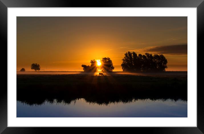Dawn over the fens, Ely, Cambridgeshire Framed Mounted Print by Andrew Sharpe
