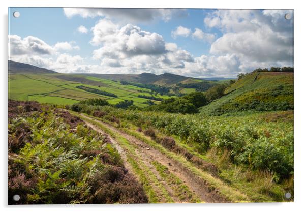 Path in the hills near Hayfield, Derbyshire Acrylic by Andrew Kearton