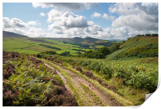 Path in the hills near Hayfield, Derbyshire Print by Andrew Kearton