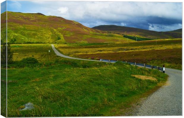The Road to Loch Killin Canvas Print by Steven Watson