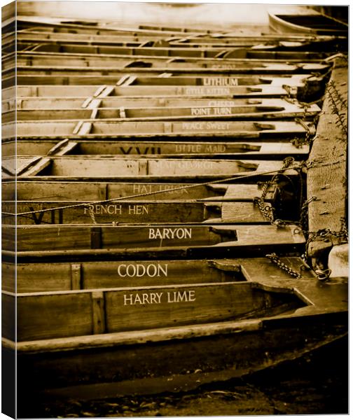 Punts outside Trinity College, Cambridge Canvas Print by Andrew Sharpe