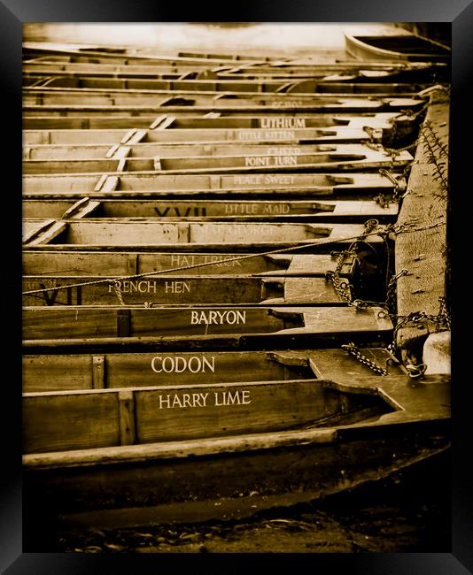 Punts outside Trinity College, Cambridge Framed Print by Andrew Sharpe