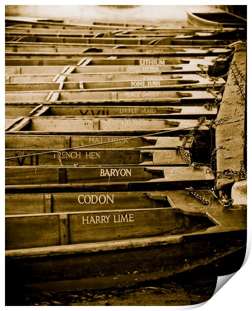 Punts outside Trinity College, Cambridge Print by Andrew Sharpe