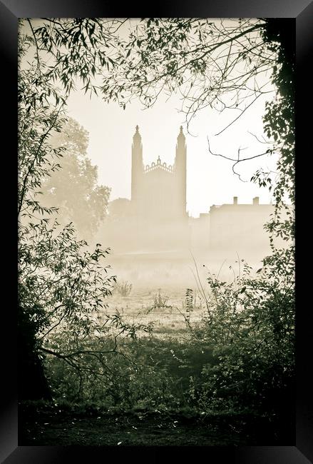 The Backs, Cambridge Framed Print by Andrew Sharpe