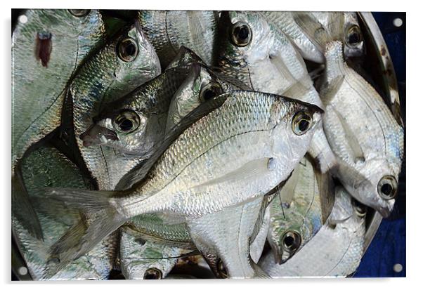 Fish Catch Acrylic by Hassan Najmy