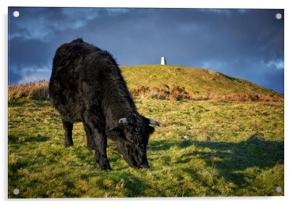 Grazing Acrylic by Richard Downs