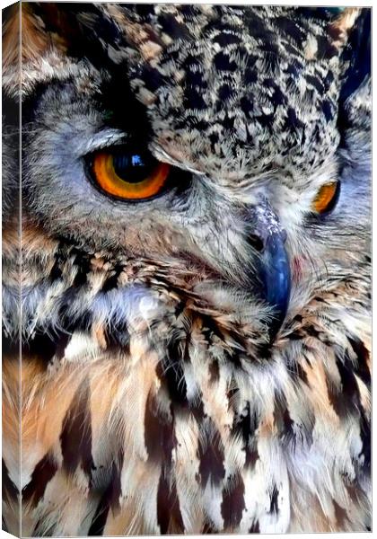 European Eagle Owl Bird of Prey Canvas Print by Andy Evans Photos