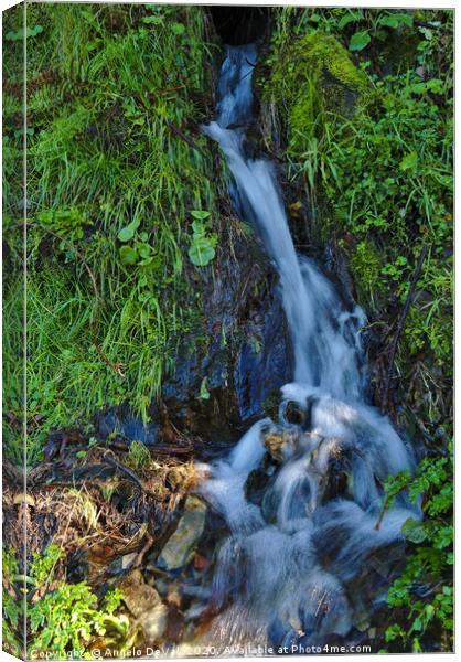 Water spring in Piodao Canvas Print by Angelo DeVal