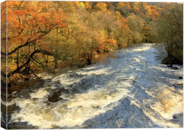 the river run's through it Canvas Print by dale rys (LP)
