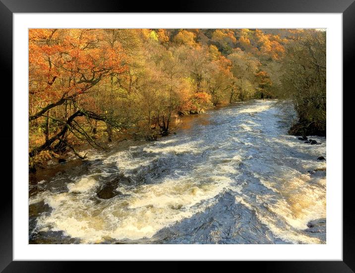 the river run's through it Framed Mounted Print by dale rys (LP)