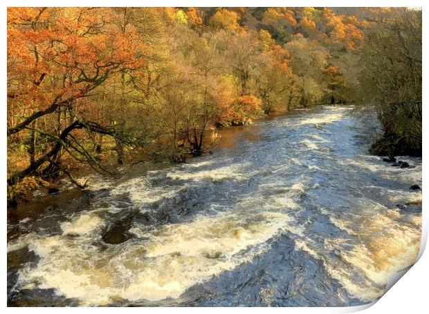 the river run's through it Print by dale rys (LP)