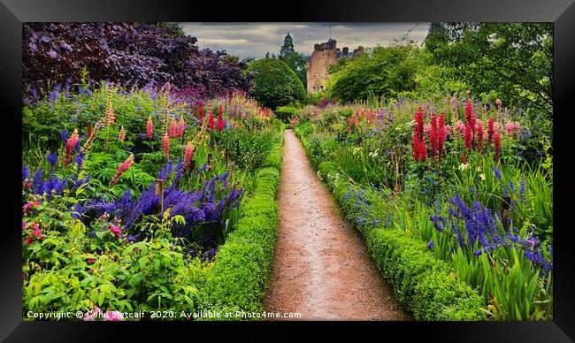 Summer Border Framed Print by Colin Metcalf