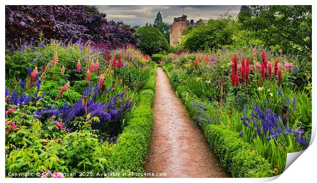 Summer Border Print by Colin Metcalf