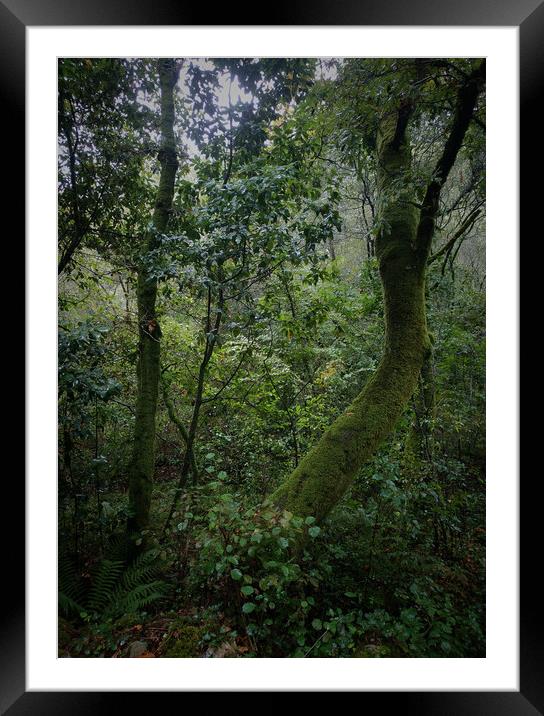 Green forest Framed Mounted Print by Larisa Siverina