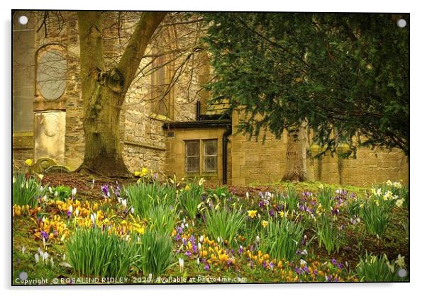 "Spring flowers at St.Edmunds" Acrylic by ROS RIDLEY