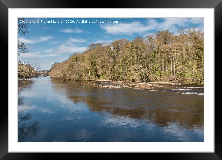 Early Spring on the River Tees at Wycliffe Framed Mounted Print by Richard Laidler