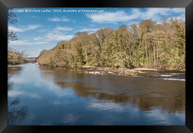 Early Spring on the River Tees at Wycliffe Framed Print by Richard Laidler